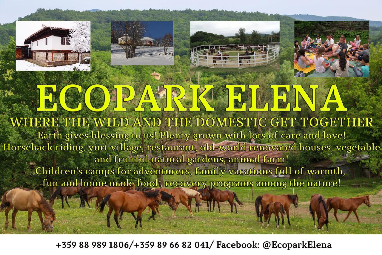 Ecopark Elena Hotel Exterior photo