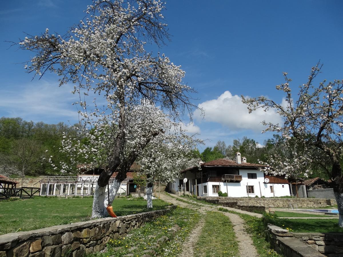 Ecopark Elena Hotel Exterior photo