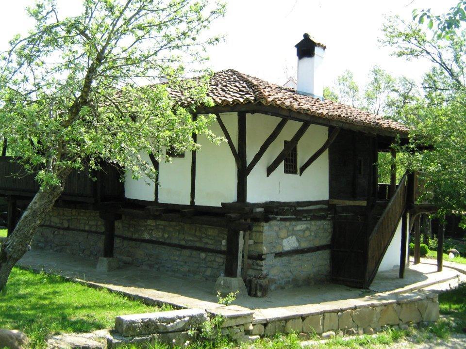 Ecopark Elena Hotel Exterior photo
